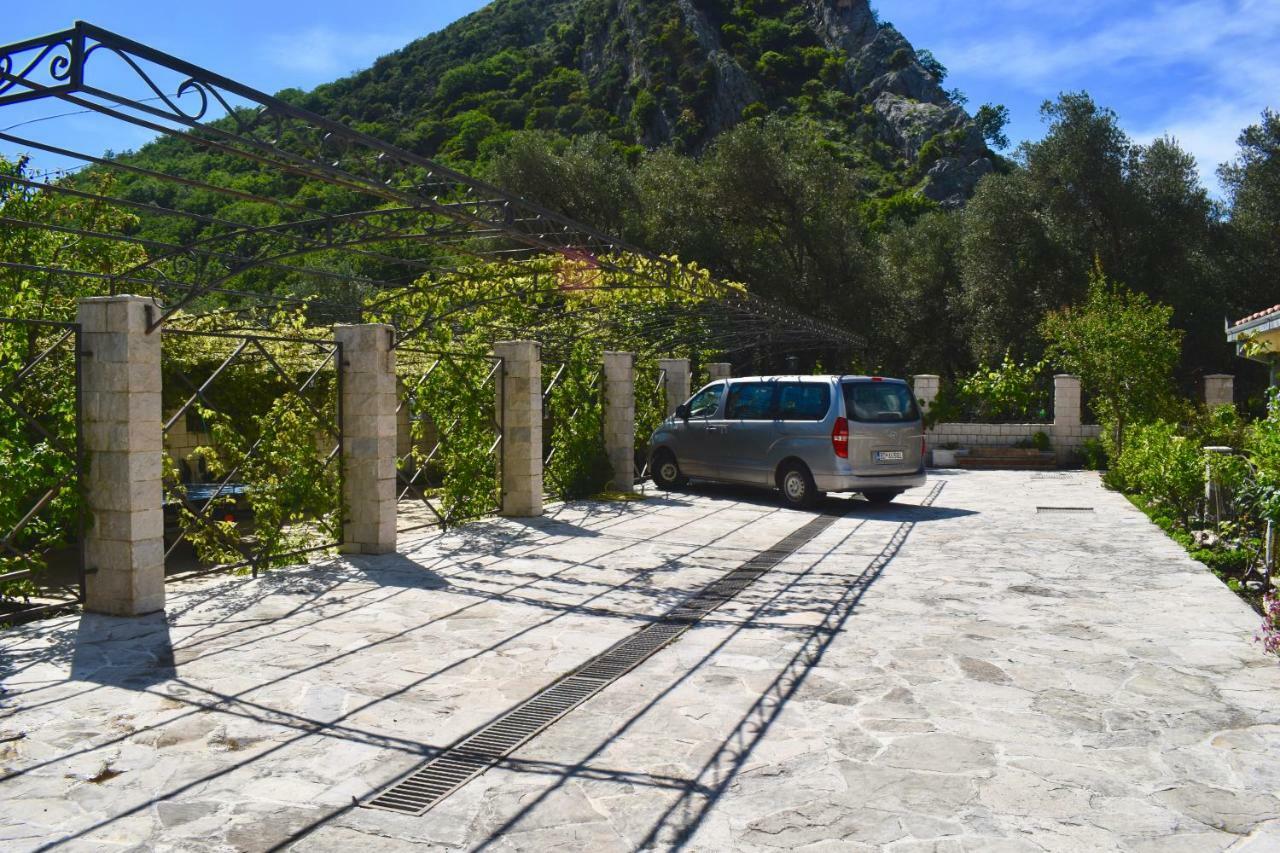 Villa Dolphin Apartments Petrovac Exterior photo